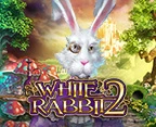 White Rabbit 2